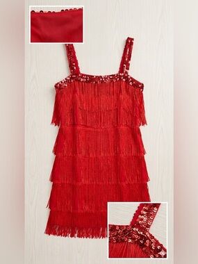 Suit yourself costume , woman beaded flapper dress